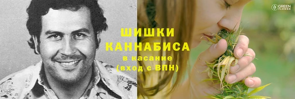 прущие крисы Балахна
