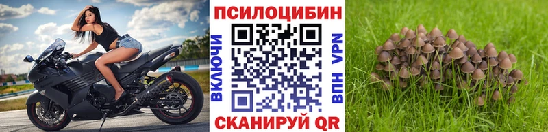 Галлюциногенные грибы GOLDEN TEACHER  где купить наркотик  Можга 